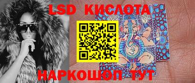амф Донской