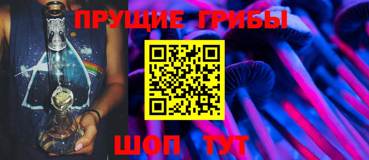 Галлюциногенные грибы MAGIC MUSHROOMS  закладки  Новоалтайск  Вход с VPN 