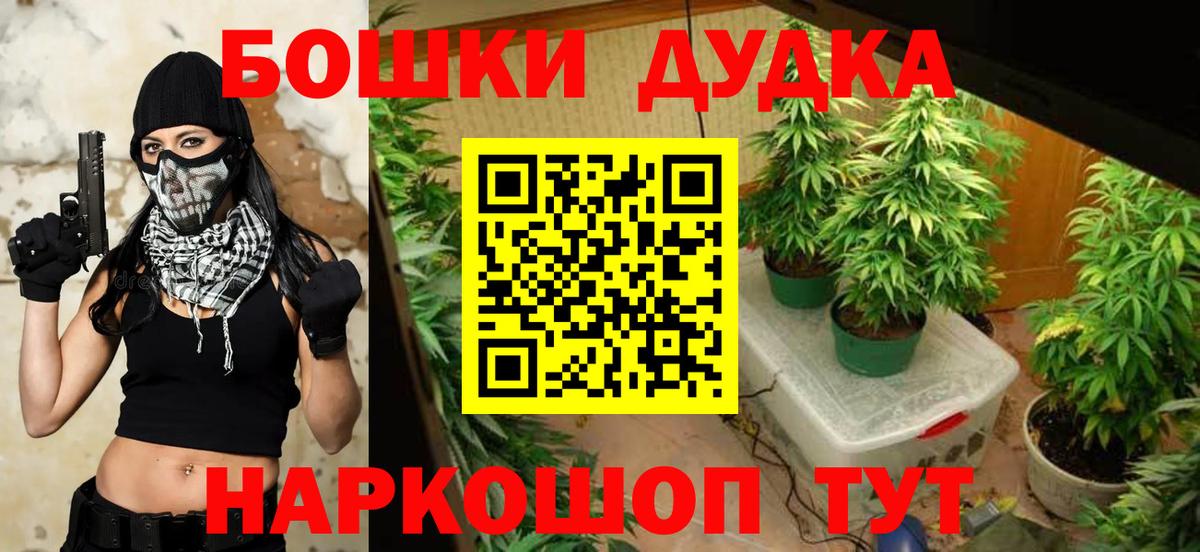Канабис конопля  МАРИХУАНА семена  Марихуана марихуана  МАРИХУАНА OG Kush  Вход с VPN  Новоалтайск 